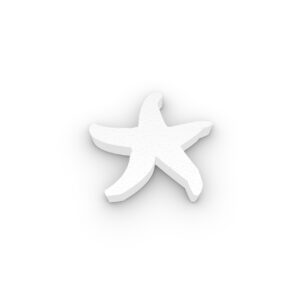 Grote Piepschuim Zeester